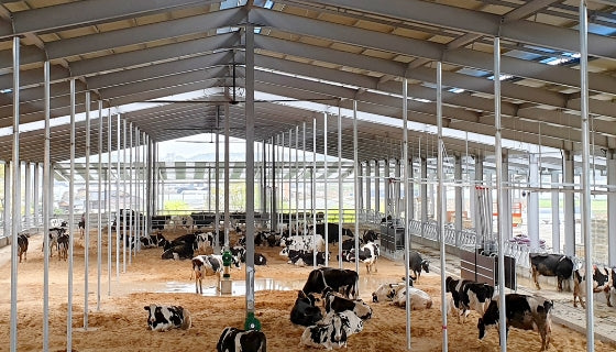 barn fans