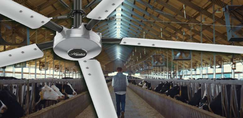 HVLS Barn Ceiling Fans For Livestock