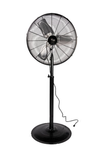 Pedestal Fan