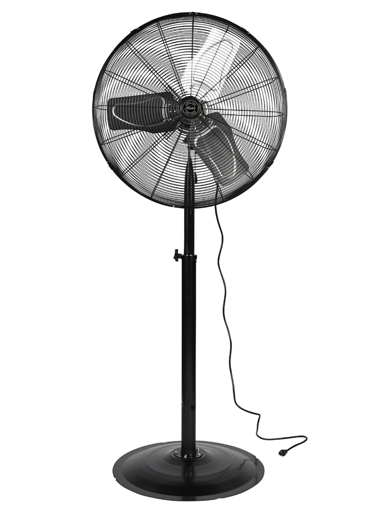 Pedestal Fan