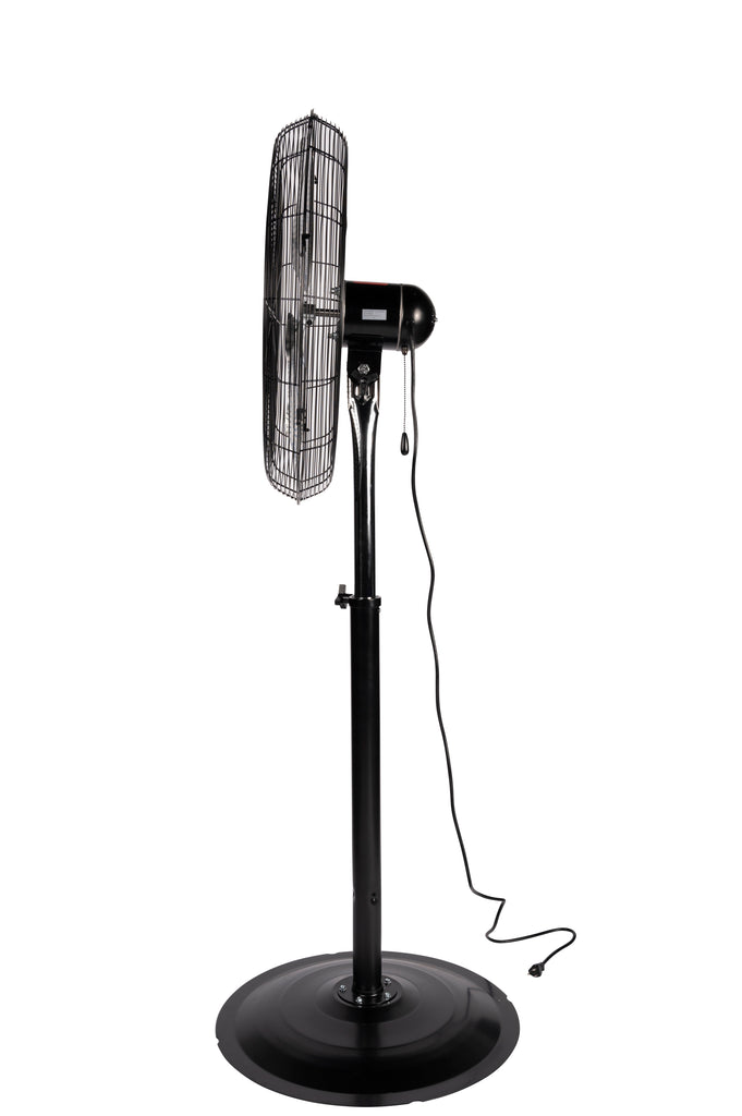 Pedestal Fan