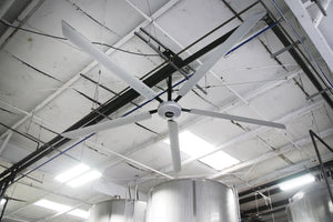 Large Titan HVLS Industrial ceiling fan in a brewery setting
