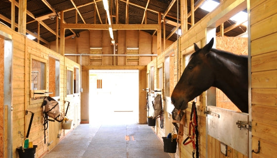 Image of a horse barn